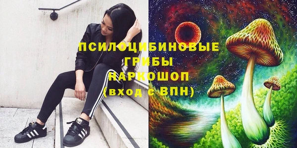 таблы Алексин