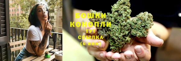 ПСИЛОЦИБИНОВЫЕ ГРИБЫ Алексеевка