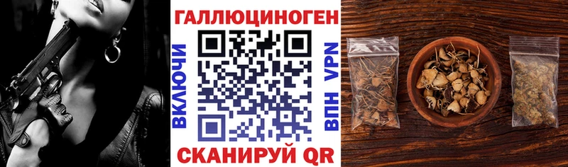 цены   Уссурийск  Псилоцибиновые грибы Cubensis 